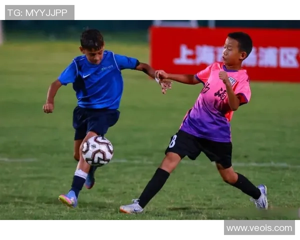 全面解析中国足球比赛赛事查询平台与最新动态信息